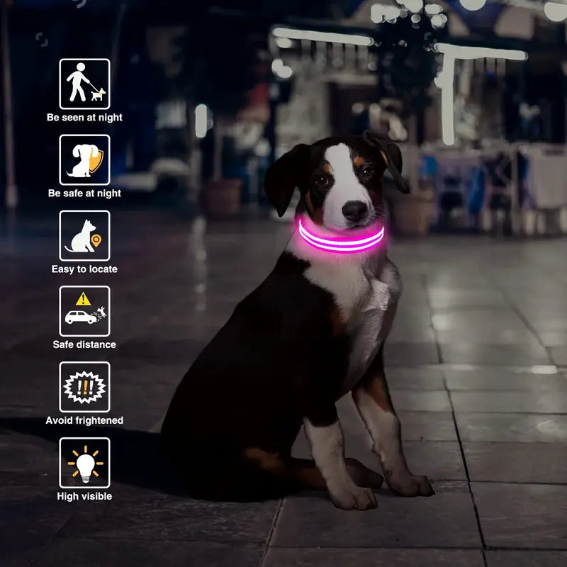 LED High Visibility Dog Collar