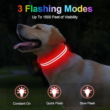 LED High Visibility Dog Collar