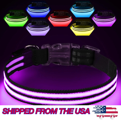 LED High Visibility Dog Collar